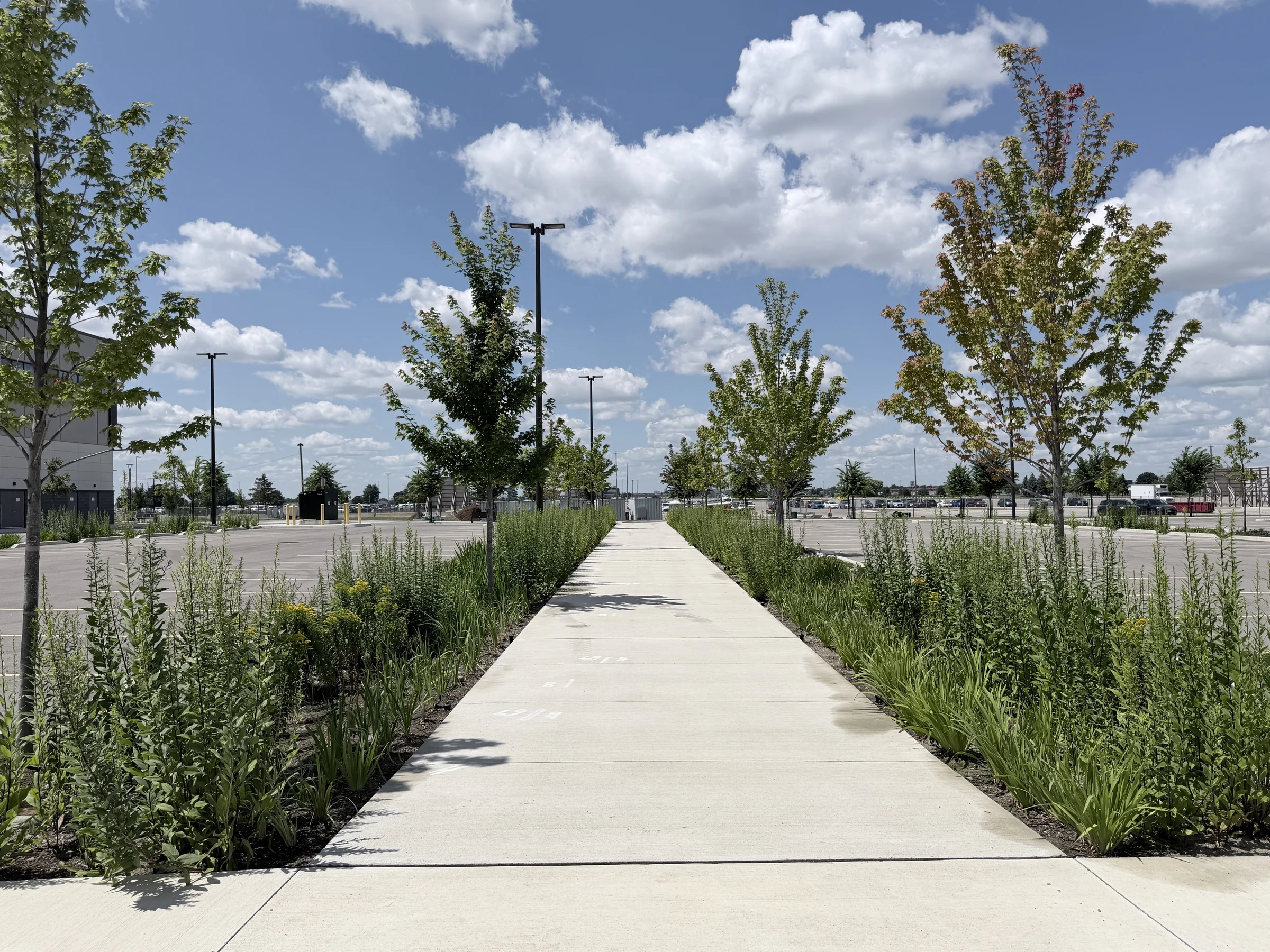 Woodbine Block 9 — Planted pedestrian route connecting the site and parking areas.