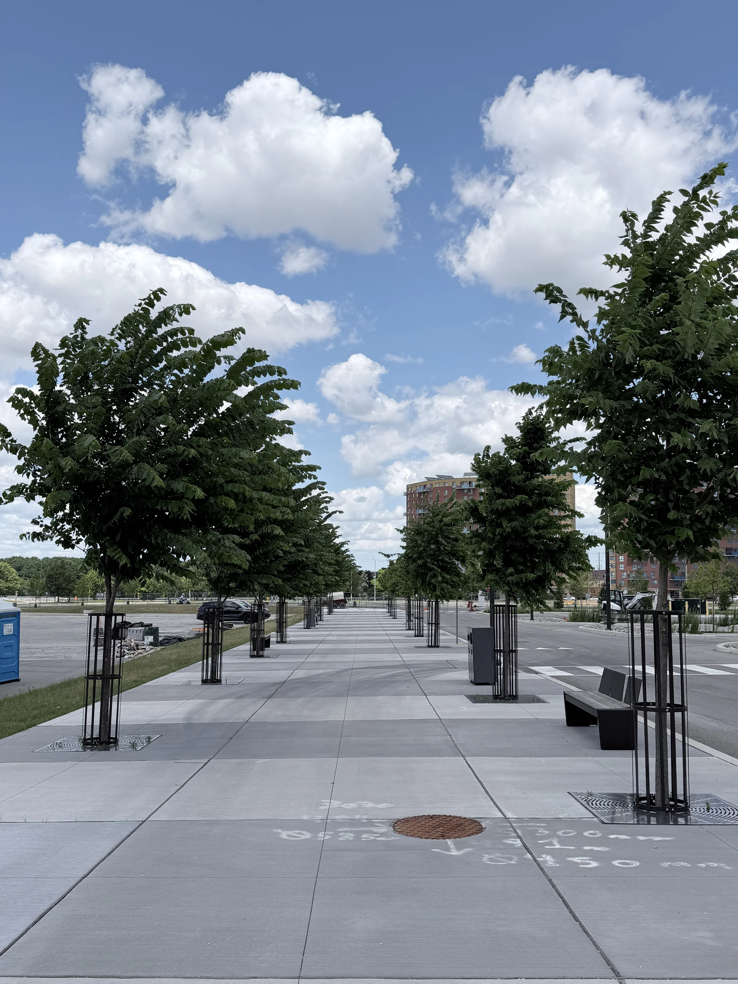Woodbine Block 9 — Pedestrian promenade with trees, seating and coordinated site elements.